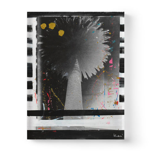 Palm Stripe No. 2 Mixed Media Photograph - Perfect or living room wall decor