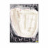 La Tulipa Midnight Art Print