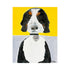 Commissioned Pet Portraits Paintings inspired home interiors for modern living spaces by Kerri Rosenthal