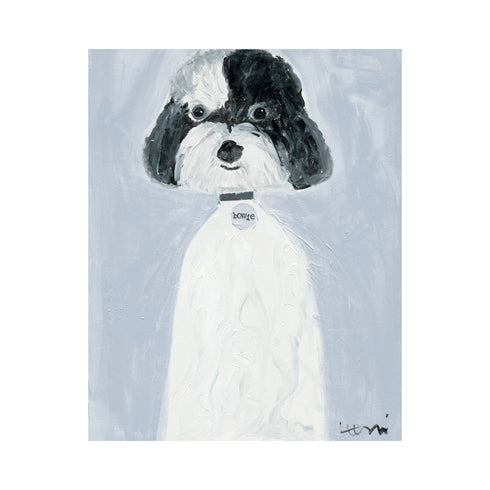 Commissioned Pet Portraits Paintings inspired home interiors for modern living spaces by Kerri Rosenthal