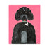 Commissioned Pet Portraits Paintings inspired home interiors for modern living spaces by Kerri Rosenthal