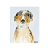 Commissioned Pet Portraits Paintings inspired home interiors for modern living spaces by Kerri Rosenthal