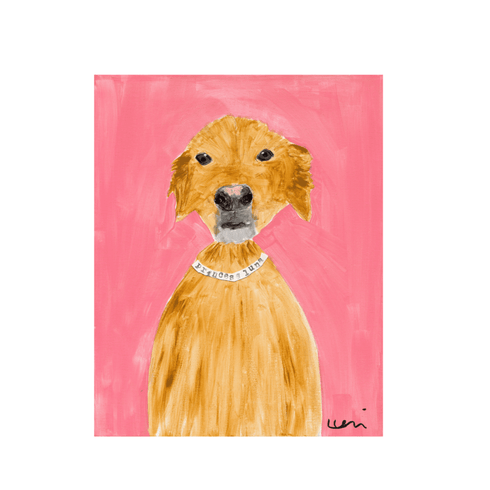 Commissioned Pet Portraits Paintings inspired home interiors for modern living spaces by Kerri Rosenthal