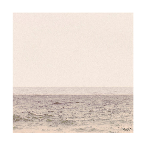 Cream Faded Summer beige No. 1 Photograph - Kerri Rosenthal