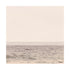 Cream Faded Summer beige No. 1 Photograph - Kerri Rosenthal