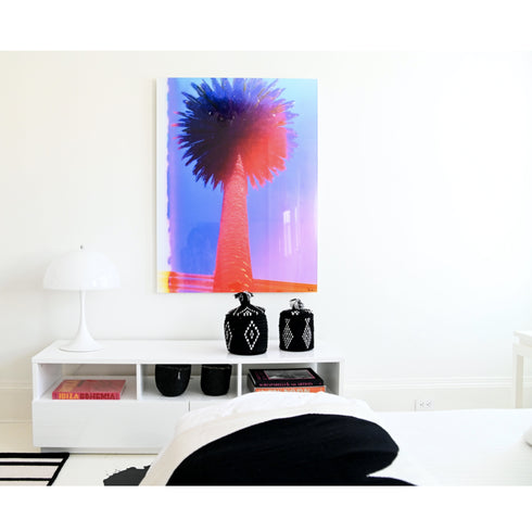 East Coast West Series - Napa Palm Mixed Media Photograph - Kerri Rosenthal