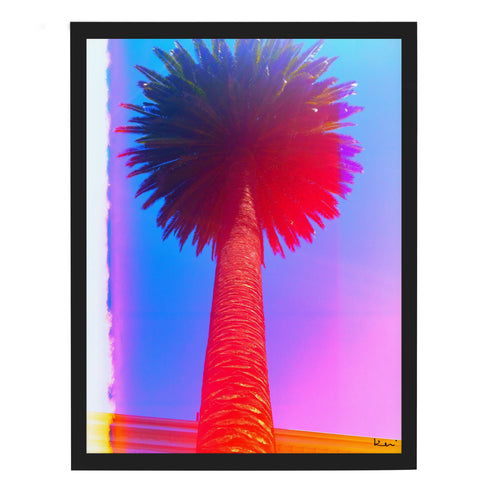 East Coast West Series - Napa Palm Mixed Media Photograph - Kerri Rosenthal