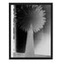 Black white East Coast West Series - Palm Noir Mixed Media Photograph - Kerri Rosenthal