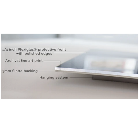 Nothing But Sunshine Photograph